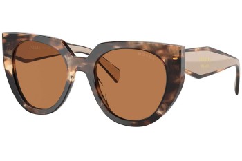 Zonnebril Prada PR14WS 01R2Z1 Cat Eye Havana