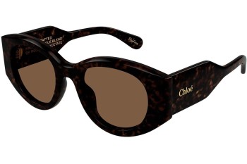 Zonnebril Chloe CH0251S 002 Ronde Havana