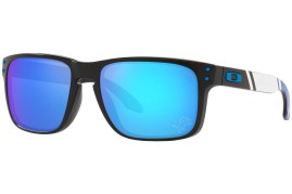 Holbrook prizm sales polarized lenses