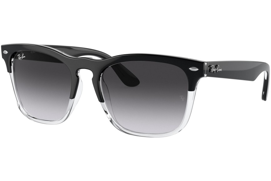 Zonnebril Ray-Ban Steve RB4487 66308G Vierkant Zwart