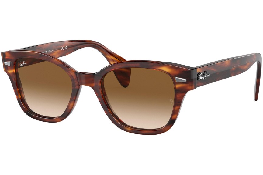 Zonnebril Ray-Ban RB0880S 954/51 Vierkant Havana