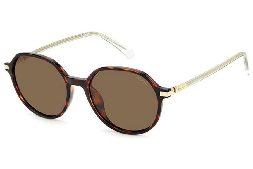 Zonnebril Polaroid PLD4149/G/S/X 086/SP Polarized Ronde Havana