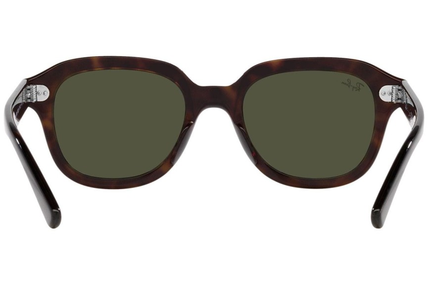 Zonnebril Ray-Ban Erik RB4398 902/31 Vierkant Havana