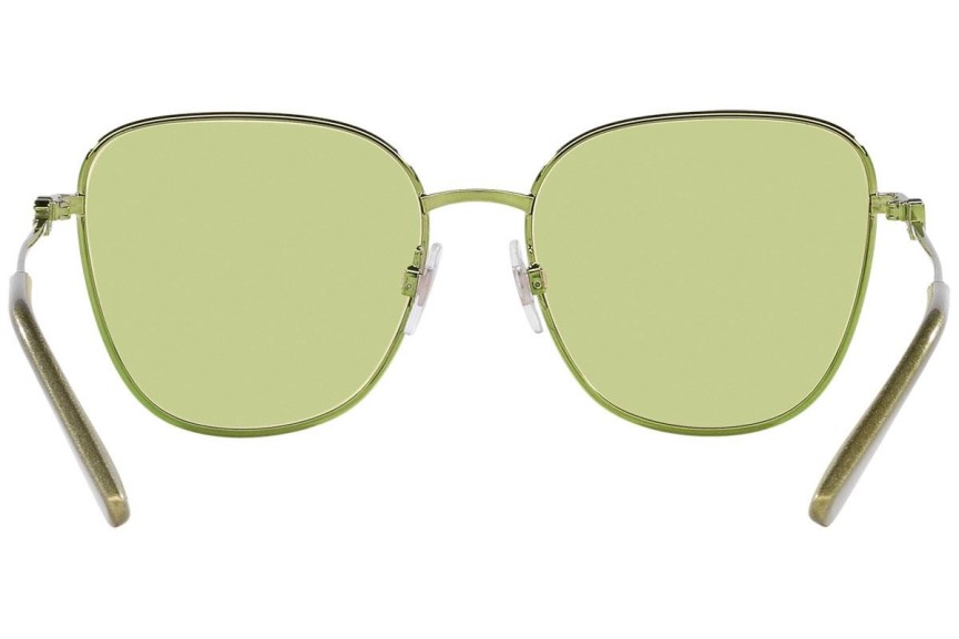 Zonnebril Dolce & Gabbana DG2293 1314/2 Special Groen