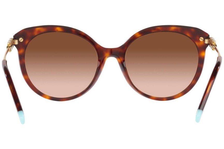 Zonnebril Tiffany & Co. TF4189B 80023B Cat Eye Havana