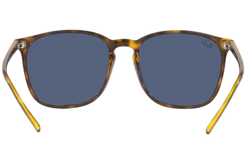 Zonnebril Ray-Ban RB4387 710/80 Vierkant Havana