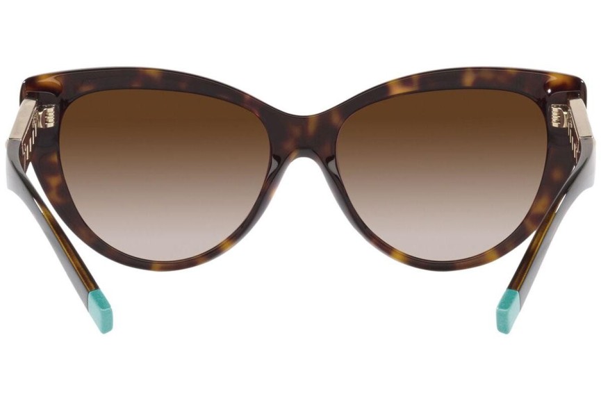 Zonnebril Tiffany & Co. TF4196 80153B Cat Eye Havana