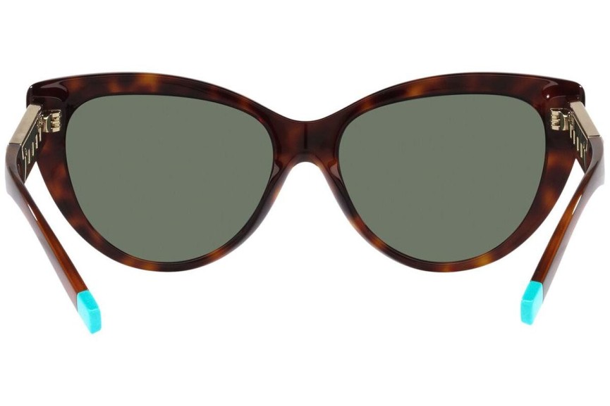 Zonnebril Tiffany & Co. TF4196 80023H Cat Eye Havana