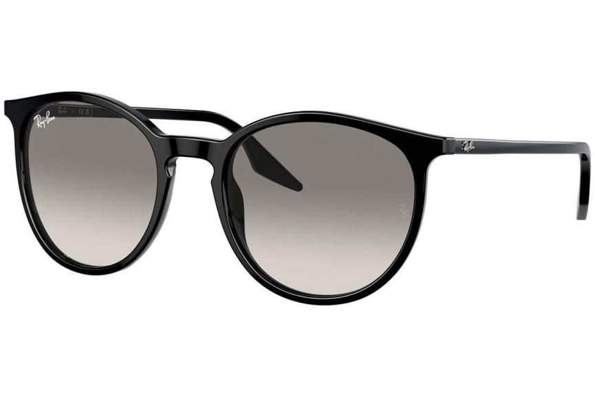 Zonnebril Ray-Ban RB2204 901/32 Ronde Zwart