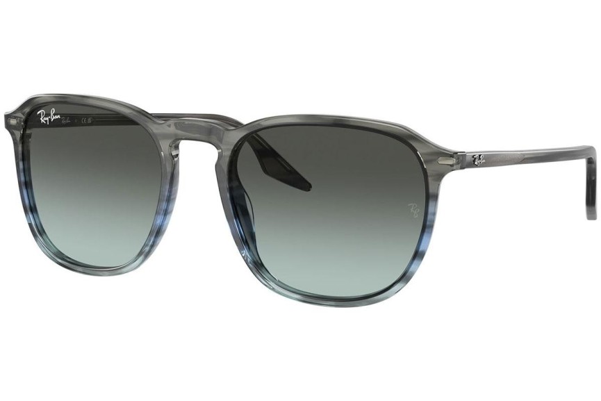 Zonnebril Ray-Ban RB2203 1391GK Vierkant Grijs