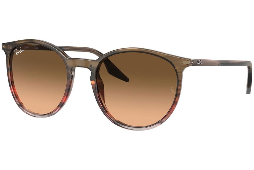 Zonnebril Ray-Ban RB2204 13953B Ronde Bruin