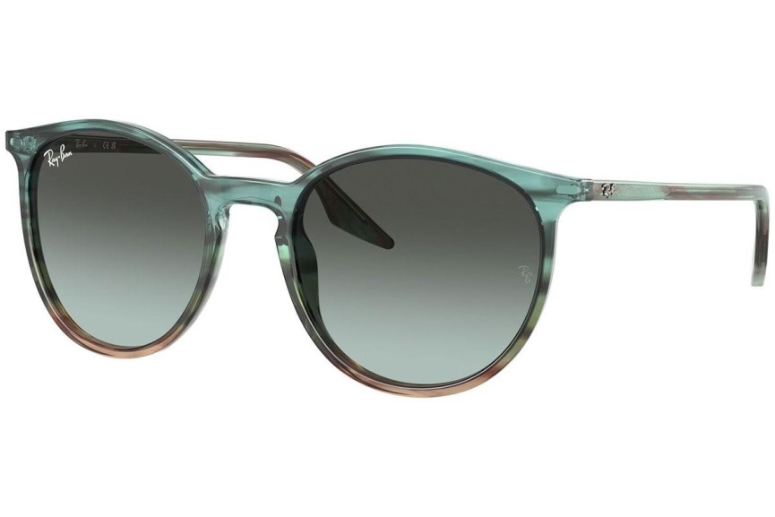 Zonnebril Ray-Ban RB2204 1394GK Ronde Blauw