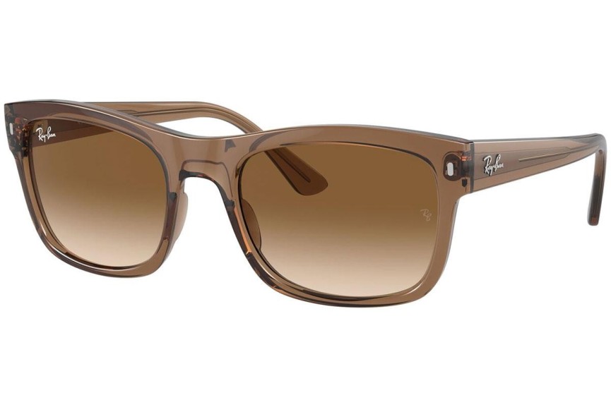 Zonnebril Ray-Ban RB4428 664051 Vierkant Bruin