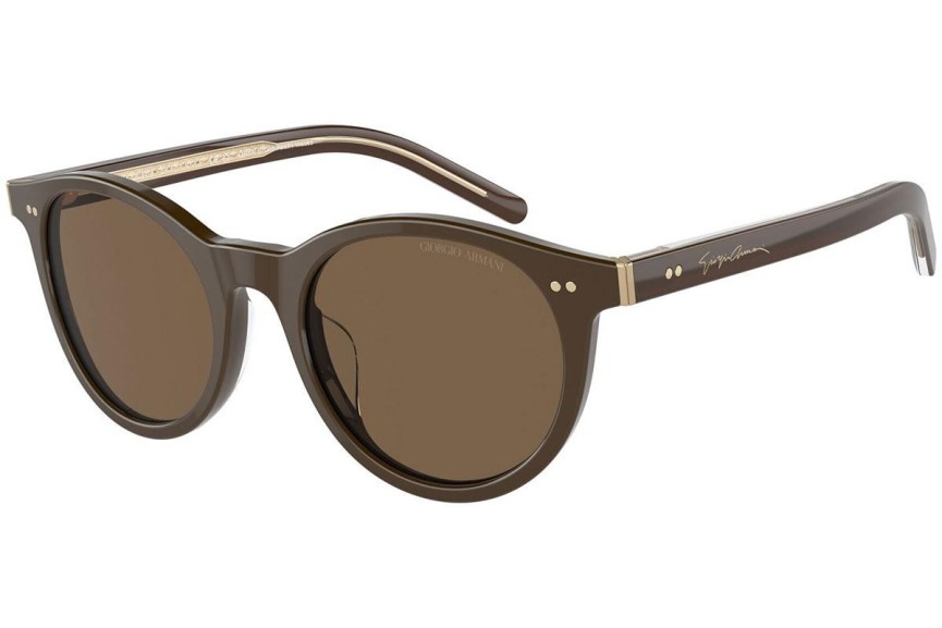 Zonnebril Giorgio Armani AR8199U 604073 Ronde Bruin