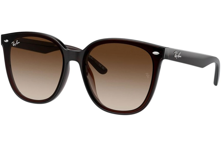 Zonnebril Ray-Ban RB4423D 714/13 Rechthoekige Bruin