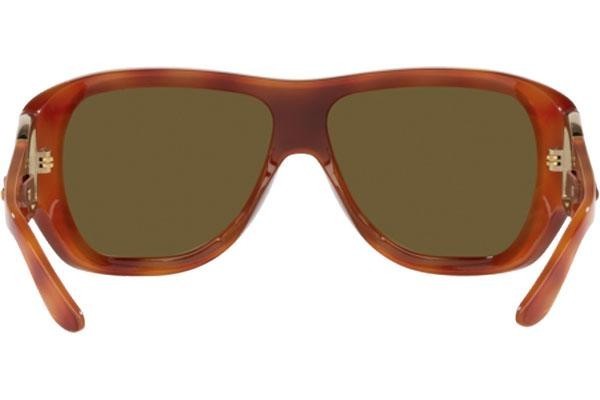 Zonnebril Ralph Lauren RL8189Q 590773 Panorama | Shield Havana