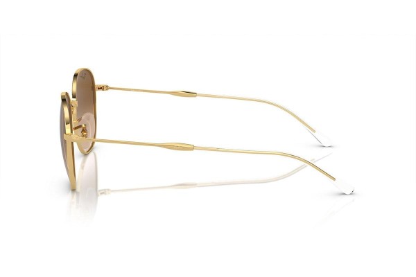 Zonnebril Ray-Ban RB3809 001/51 Special Goud