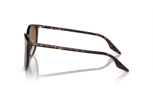 Zonnebril Ray-Ban RB2204 902/51 Ronde Havana