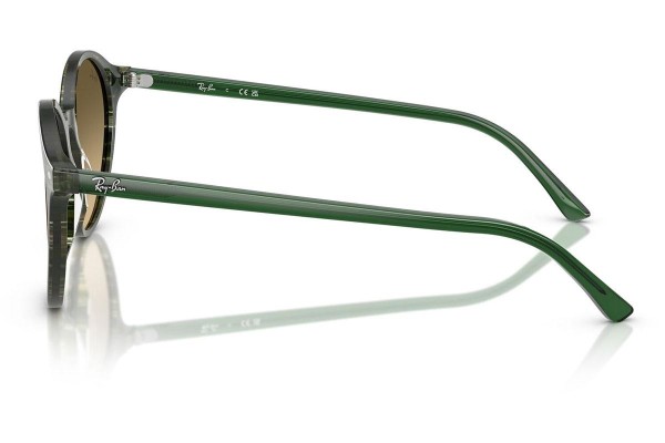 Zonnebril Ray-Ban RB2230 14210A Ronde Groen