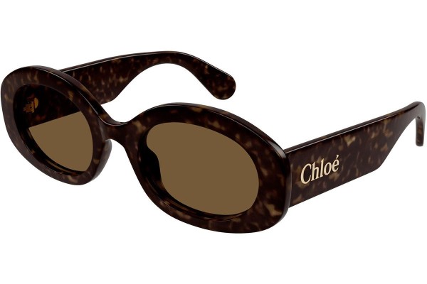 Zonnebril Chloe CH0258S 002 Ovaal Havana