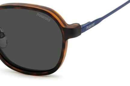 Brillen Polaroid PLD6184/CS PJP/M9 Polarized Vierkant Blauw