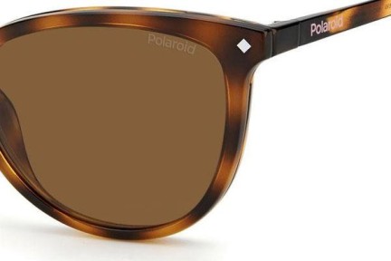 Brillen Polaroid PLD6138/CS 086/SP Polarized Cat Eye Havana