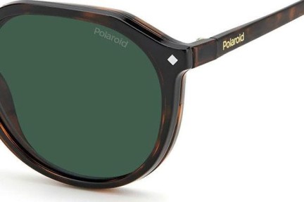 Brillen Polaroid PLD6165/CS 086/UC Polarized Ronde Havana