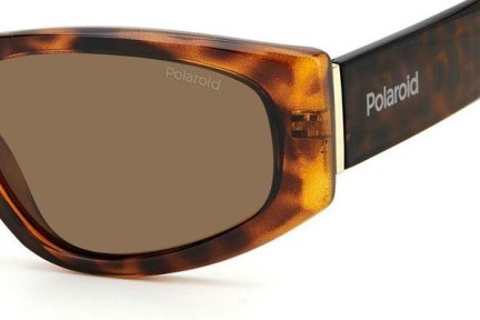 Zonnebril Polaroid PLD6169/S 086/SP Polarized Cat Eye Havana