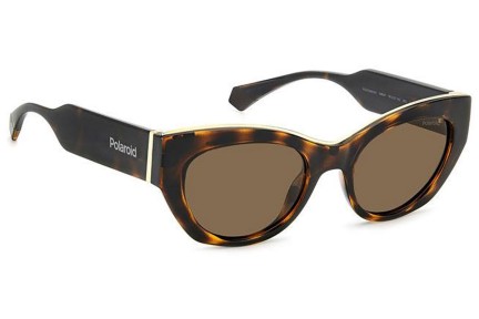 Zonnebril Polaroid PLD6199/S/X 086/SP Polarized Cat Eye Havana