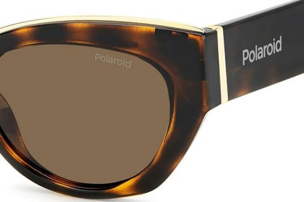 Zonnebril Polaroid PLD6199/S/X 086/SP Polarized Cat Eye Havana