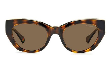 Zonnebril Polaroid PLD6199/S/X 086/SP Polarized Cat Eye Havana