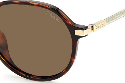 Zonnebril Polaroid PLD4149/G/S/X 086/SP Polarized Ronde Havana