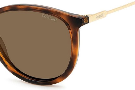 Zonnebril Polaroid PLD4143/S/X 086/SP Polarized Ronde Havana