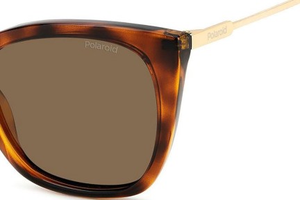 Zonnebril Polaroid PLD4144/S/X 086/SP Polarized Cat Eye Havana