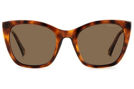 Zonnebril Polaroid PLD4144/S/X 086/SP Polarized Cat Eye Havana