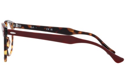 Brillen Ray-Ban Eagleeye RX5598 8250 Ronde Verschillende kleuren