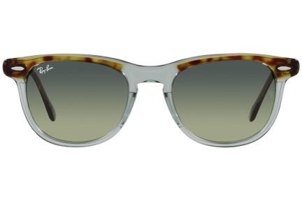 Zonnebril Ray-Ban Eagleeye RB2398 1376BH Ronde Groen