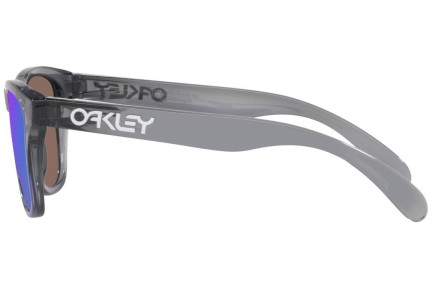 Zonnebril Oakley Frogskins XXS OJ9009-02 Vierkant Grijs