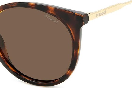 Zonnebril Polaroid PLD4146/S/X 086/SP Polarized Cat Eye Havana