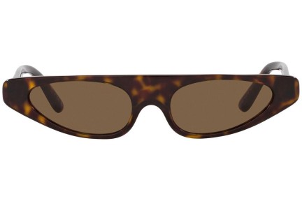 Zonnebril Dolce & Gabbana DG4442 502/73 Rechthoekige Havana