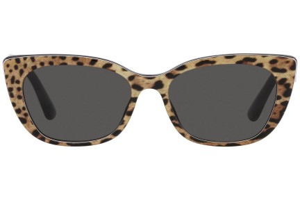 Zonnebril Dolce & Gabbana DX4427 316387 Cat Eye Havana