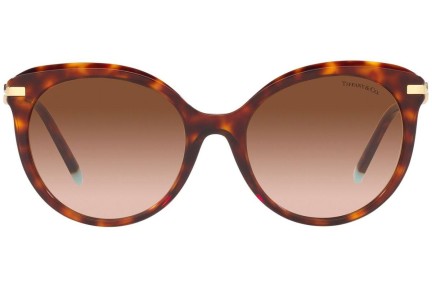 Zonnebril Tiffany & Co. TF4189B 80023B Cat Eye Havana