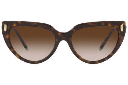 Zonnebril Tiffany & Co. TF4195 80153B Cat Eye Havana