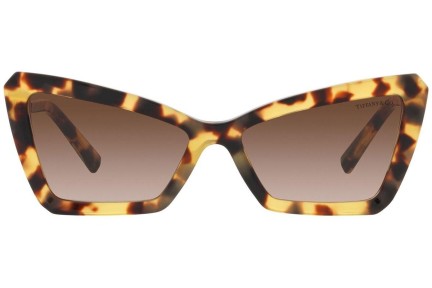 Zonnebril Tiffany & Co. TF4203 80643B Cat Eye Havana