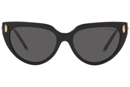 Zonnebril Tiffany & Co. TF4195 8001S4 Cat Eye Zwart