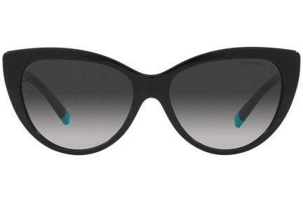 Zonnebril Tiffany & Co. TF4196 80013C Cat Eye Zwart