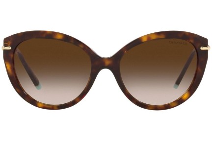 Zonnebril Tiffany & Co. TF4187 80153B Cat Eye Havana