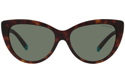 Zonnebril Tiffany & Co. TF4196 80023H Cat Eye Havana