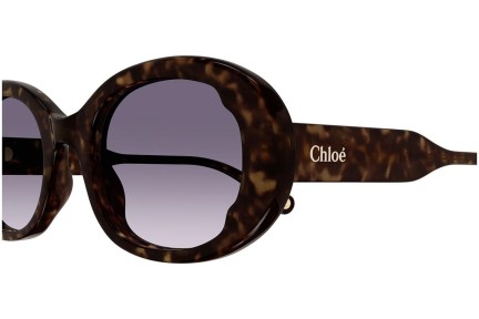 Zonnebril Chloe CH0197S 002 Ovaal Havana