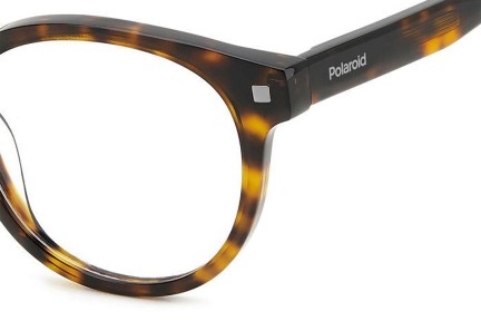 Brillen Polaroid PLDD519 086 Ronde Havana